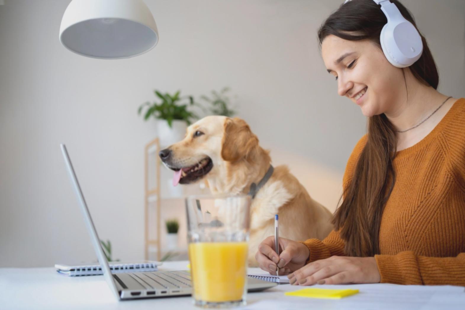 Session de formation pratique sur la gestion budgétaire